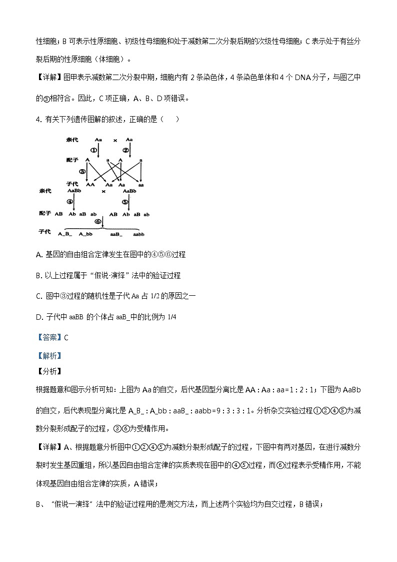 高中生物第二册 精品解析 辽宁省沈阳市郊联体2019-2020学年高一下学期期末生物试题(含答案)03
