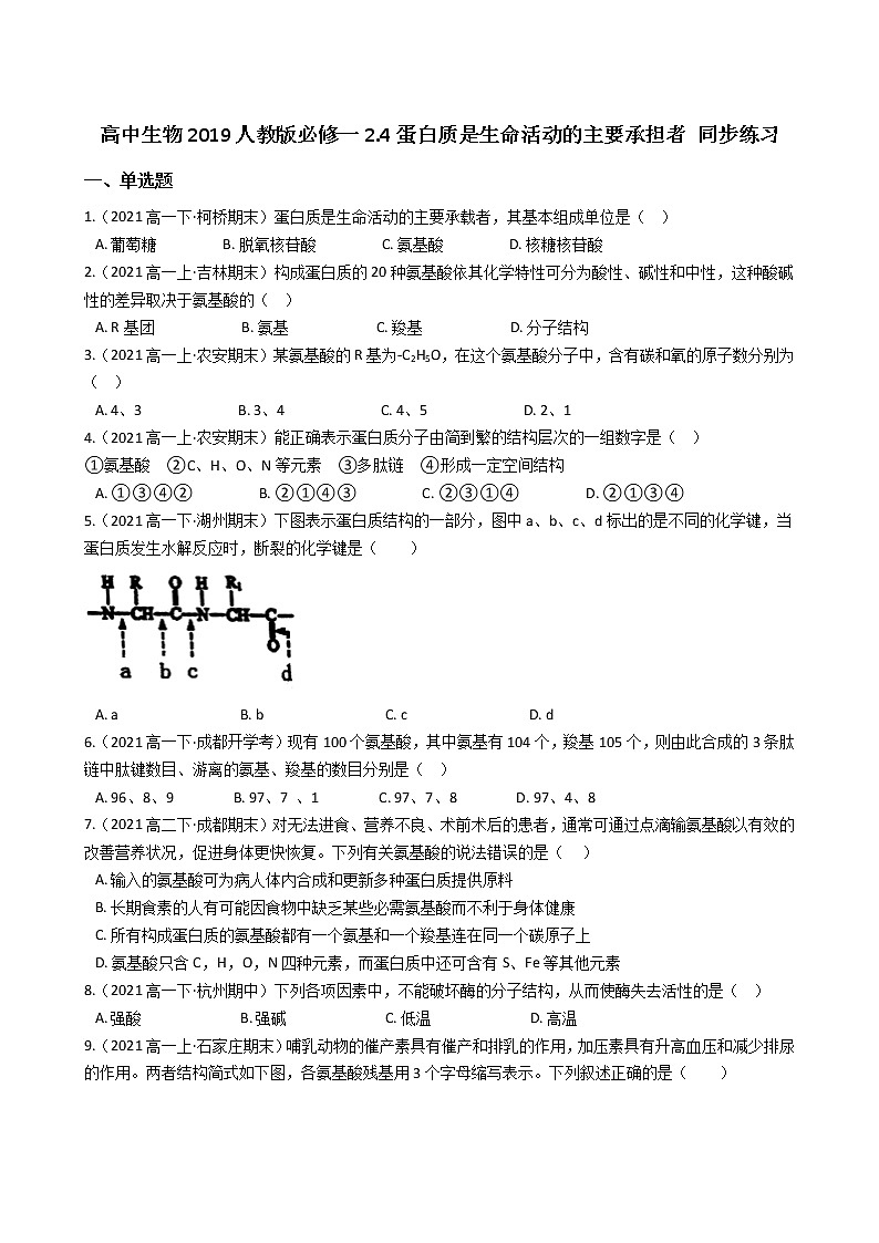 高中生物第一册 2 4蛋白质是生命活动的主要承担者 同步练习((无答案))第1页