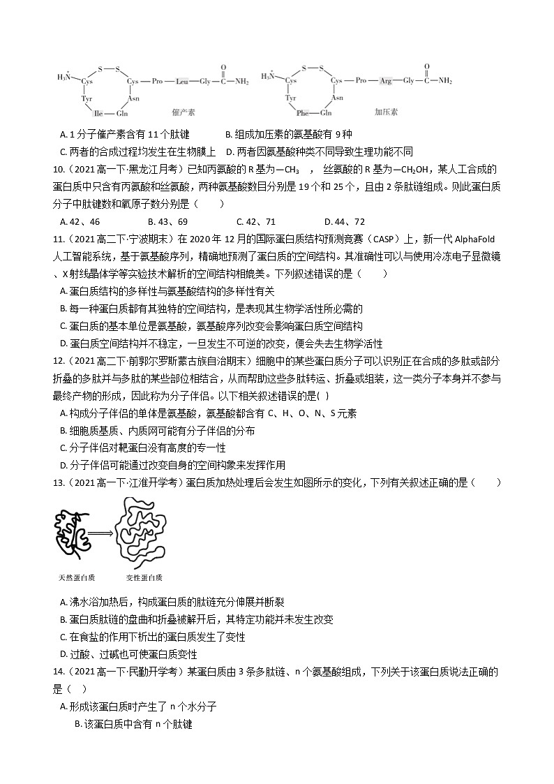 高中生物第一册 2 4蛋白质是生命活动的主要承担者 同步练习((无答案))第2页