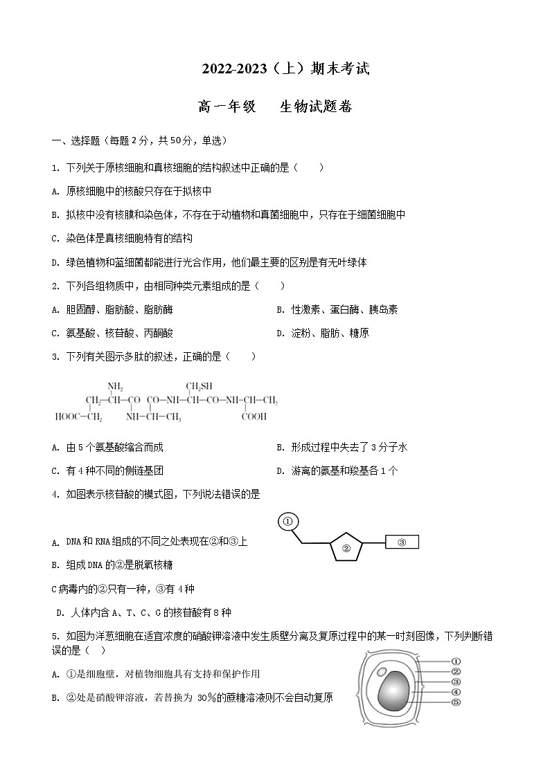 2022-2023学年四川省眉山市高一上学期期末教学质量检测生物试题含答案第1页