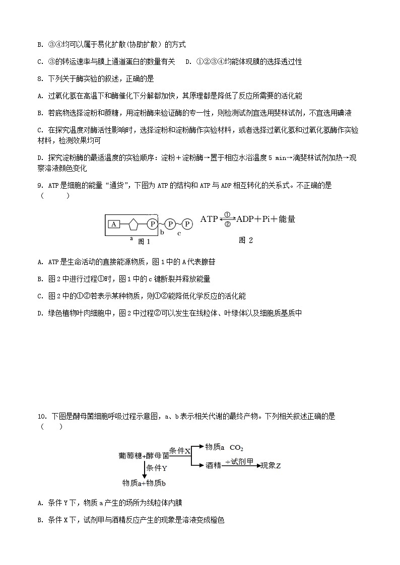 2022-2023学年四川省眉山市高一上学期期末教学质量检测生物试题含答案第3页