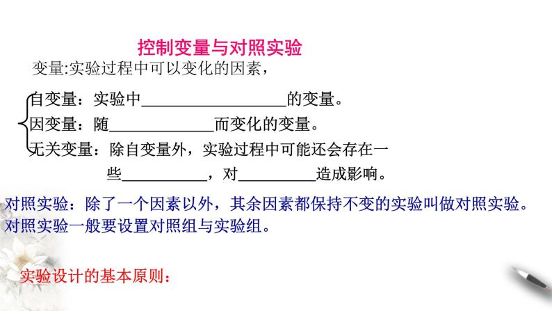 高中生物第一册 5 1 1 降低化学反应活化能的酶 课件07