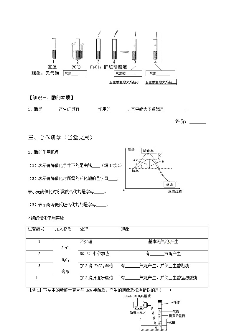 高中生物第一冊 (學(xué)案)第五章第1節(jié)酶第2頁