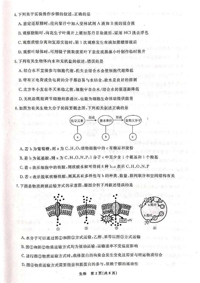 2022-2023学年辽宁省名校联盟高一下学期3月联合考试生物PDF版含答案02
