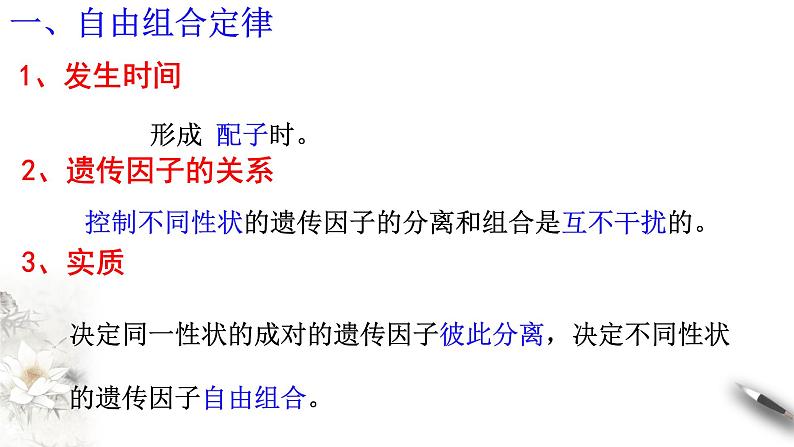 高中生物第二册 1 2 2 孟德尔的豌豆杂交实验(二) 课件-遗传与进化练习题第2页
