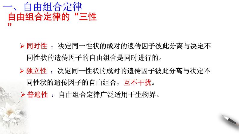 高中生物第二册 1 2 2 孟德尔的豌豆杂交实验(二) 课件-遗传与进化练习题第4页