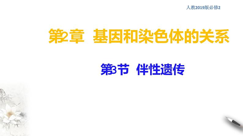 高中生物第二册 2 3 伴性遗传 课件-遗传与进化练习题01