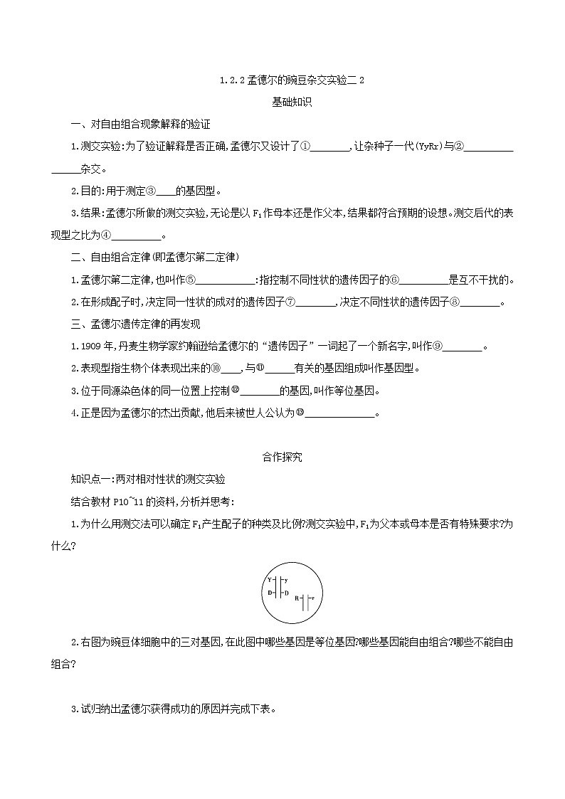 高中生物第二册 1 2 2孟德尔的豌豆杂交实验二2学案第1页