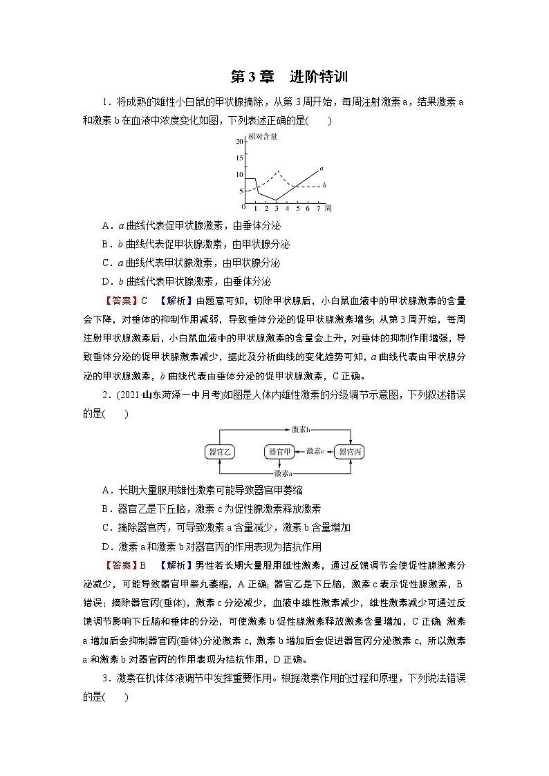 第3章 进阶特训第1页