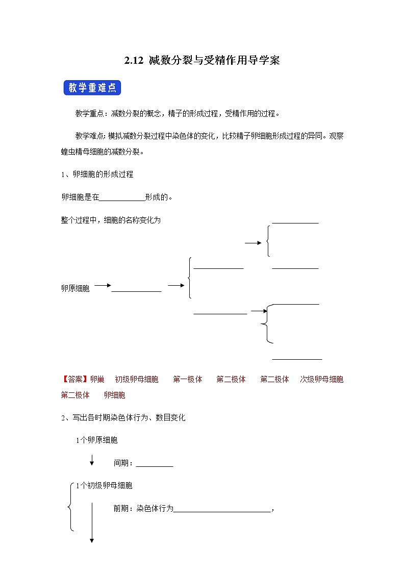 高中生物第二册 2 1 2 减数分裂与受精作用 导学案-遗传与进化01