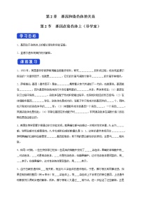 人教版 (2019)必修2《遺傳與進化》第2章 基因和染色體的關(guān)系第2節(jié) 基因在染色體上學(xué)案