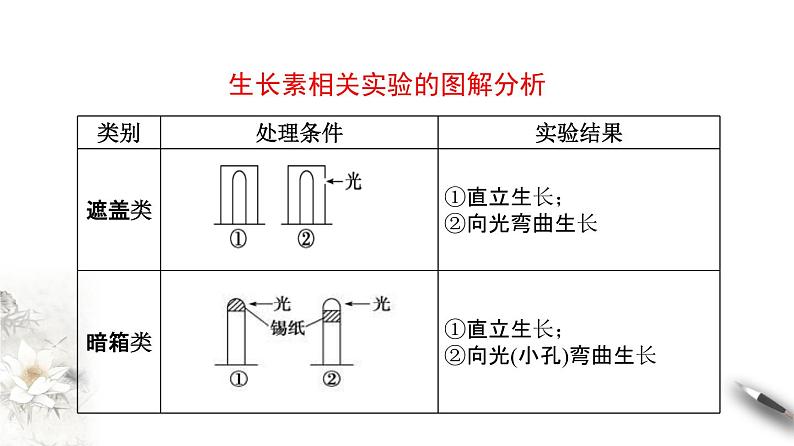 高中生物选择性必修一 5 1 2 植物生长激素(课件)上学期学同步精品课堂第4页