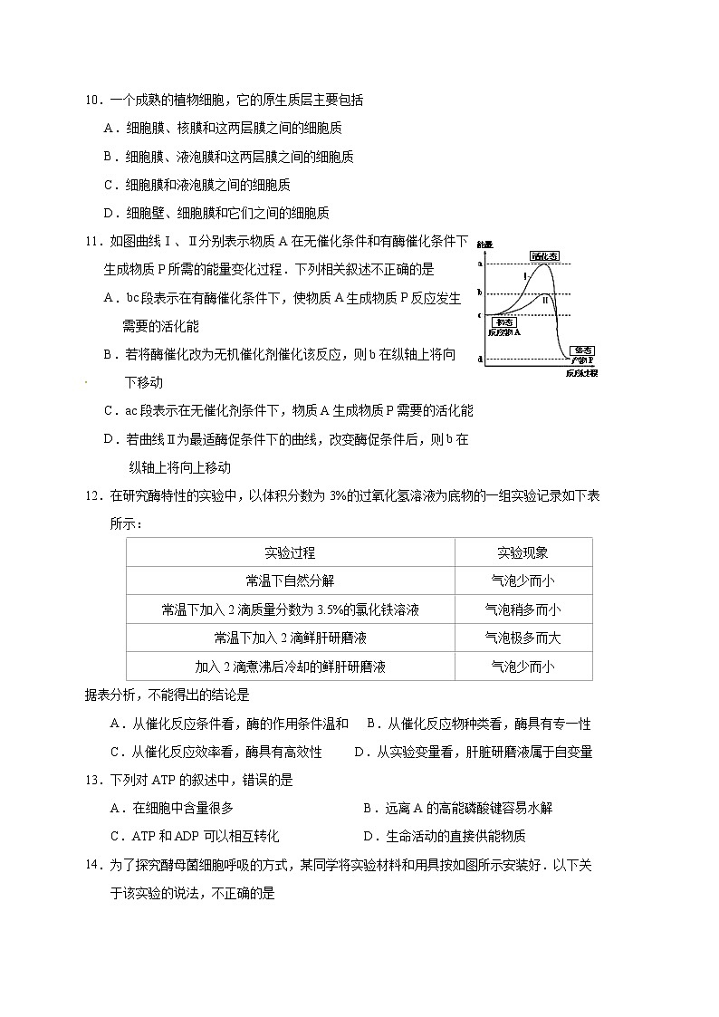 广东省肇庆市XX中学2018-2019学年度上学期高一期末考试《生物》试卷第3页