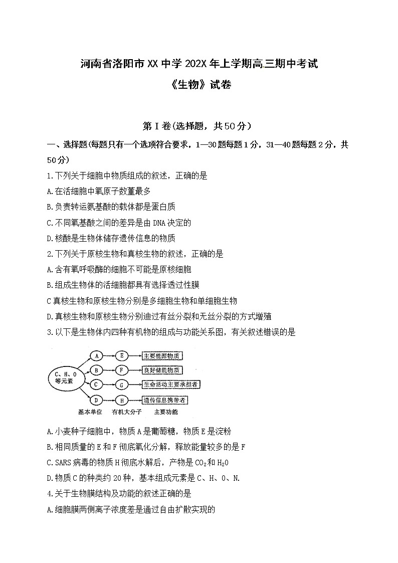 河南省洛阳市XX中学202X年高三上学期期中考试《生物》试卷第1页