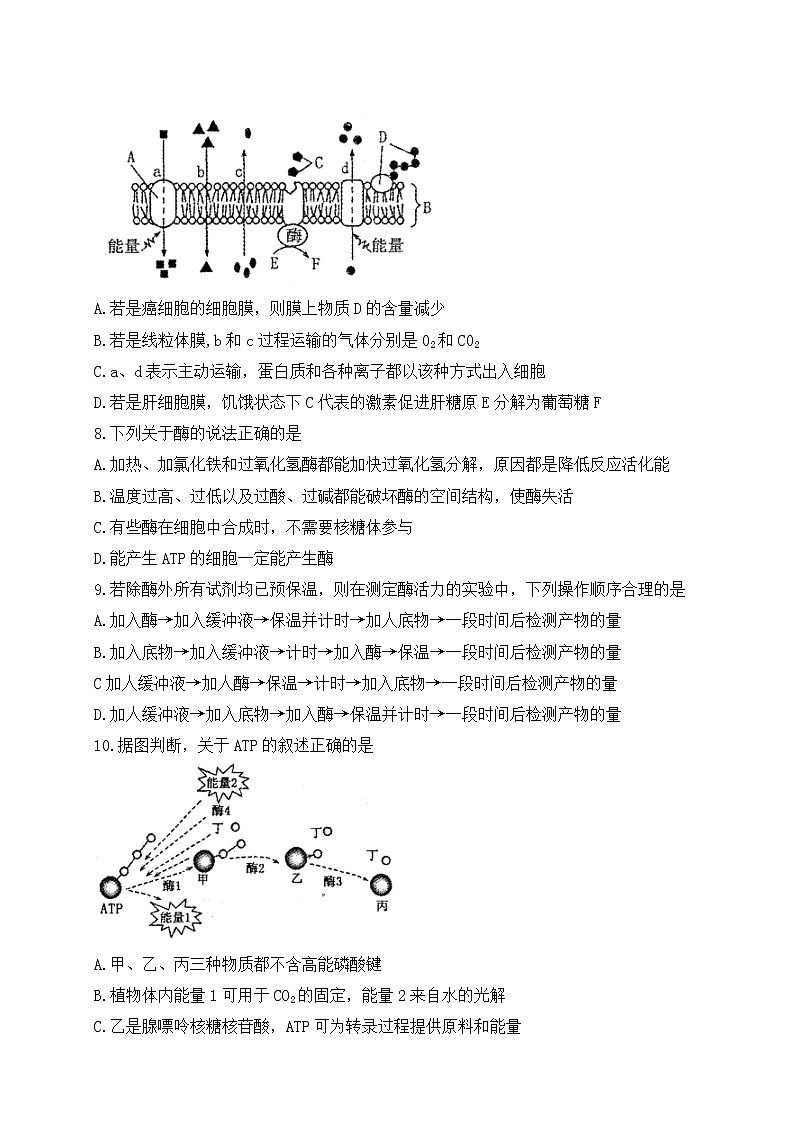河南省洛阳市XX中学202X年高三上学期期中考试《生物》试卷第3页