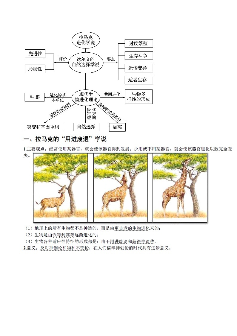 高考生物一轮复习必背  知识清单19  现代生物进化理论03