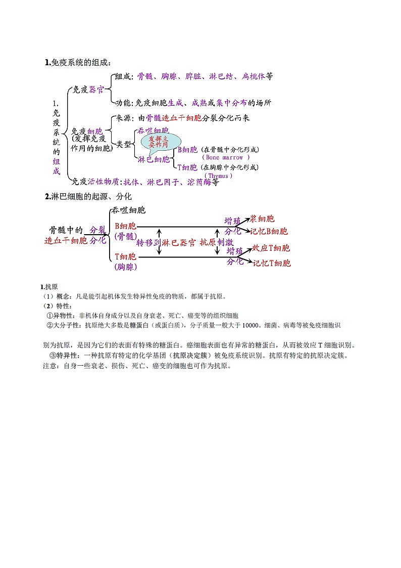 高考生物一轮复习必背 知识清单23 免疫调节03