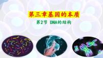 人教版 (2019)必修2《遗传与进化》第3节 DNA的复制教学演示ppt课件