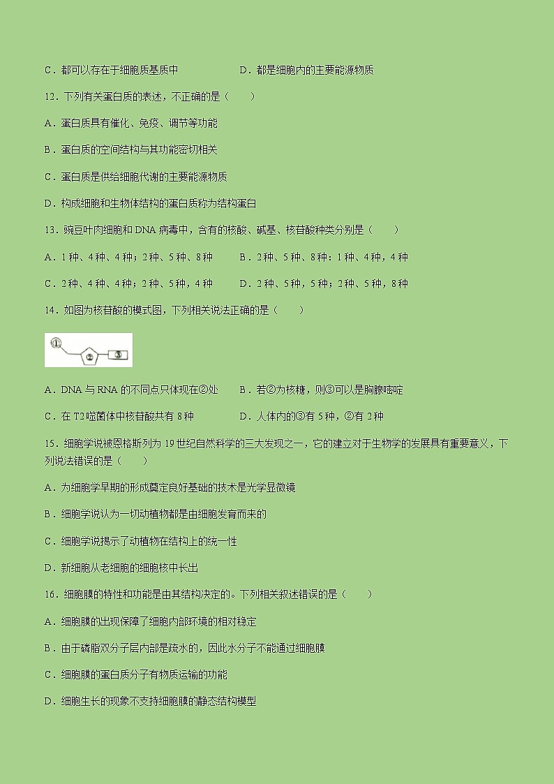 2022-2023学年黑龙江省齐齐哈尔市八校联合体高一上学期期中生物试题含答案03