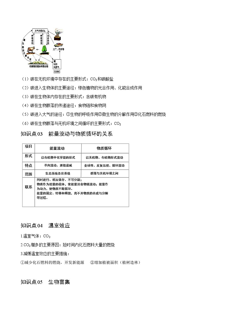 3.3 生态系统的物质循环(教师版)-高二生物同步精品讲义(人教版2019选择性必修2)第2页