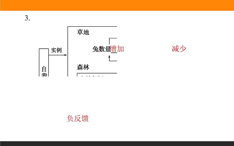 3.5生态系统的稳定性课件PPT第4页