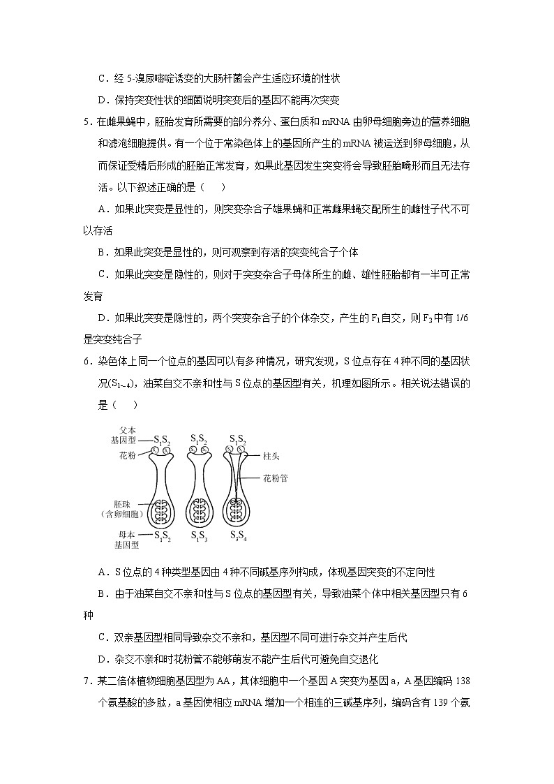 高中生物高考 2021届小题必练14 生物的变异及育种 生物的进化 学生版第3页