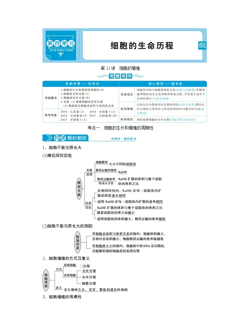 高中生物高考1　第四单元　第11讲　细胞的增殖 试卷01