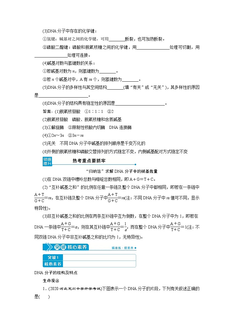 高中生物高考2 第六单元 第18讲 DNA分子的结构、复制及基因的本质 试卷03