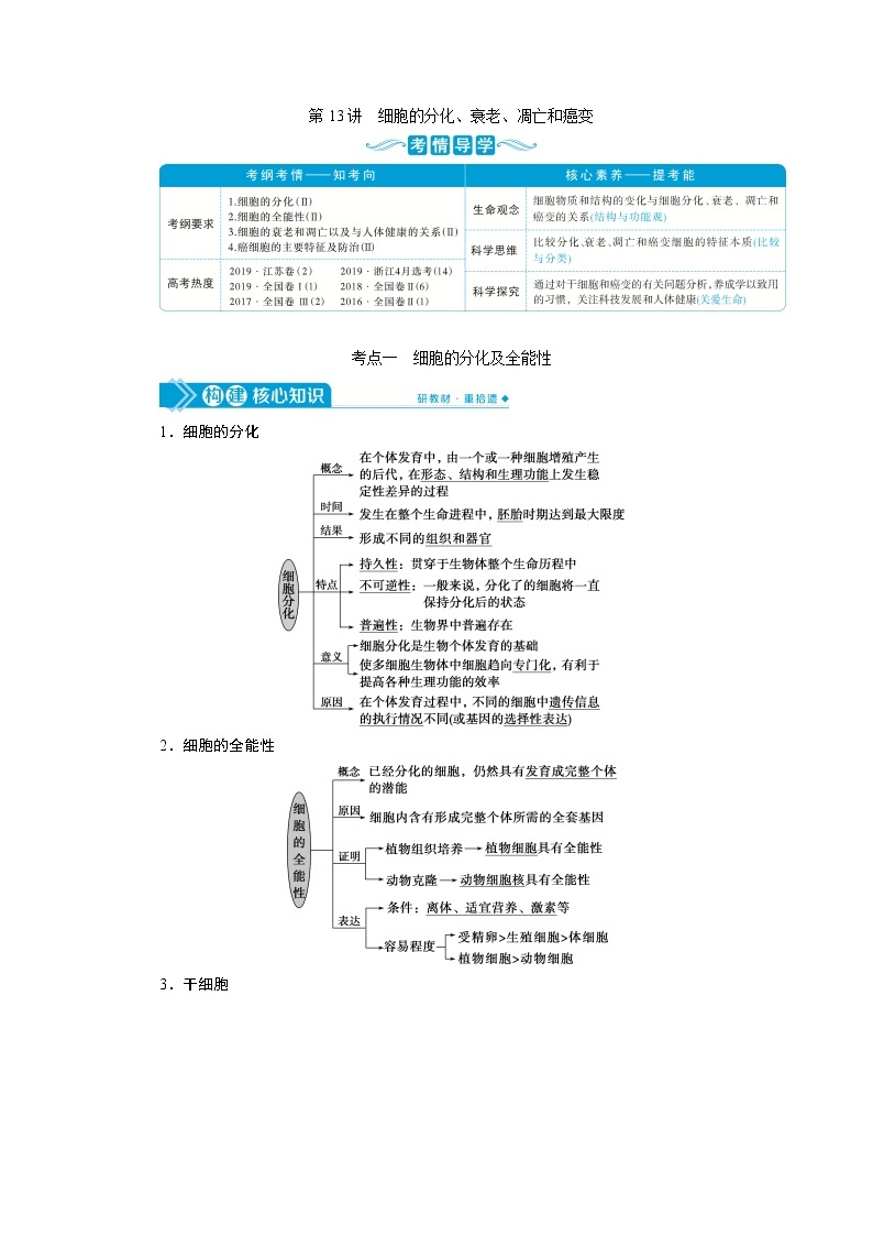 高中生物高考4　第四单元　第13讲　细胞的分化、衰老、凋亡和癌变 试卷01