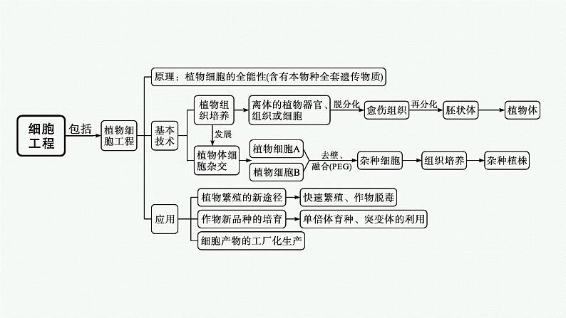 第2章 细胞工程 本章整合课件PPT02