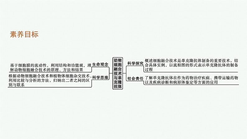 第2节 二 动物细胞融合技术与单克隆抗体课件PPT第3页