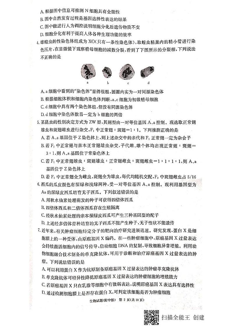 2022-2023学年湖南师范大学附属中学高三上学期月考卷(四)生物试题 PDF版02