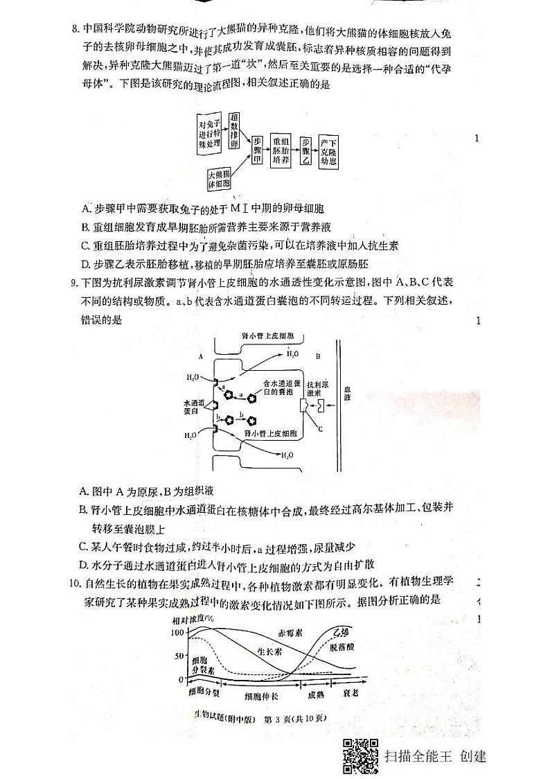 2022-2023学年湖南师范大学附属中学高三上学期月考卷(四)生物试题 PDF版03