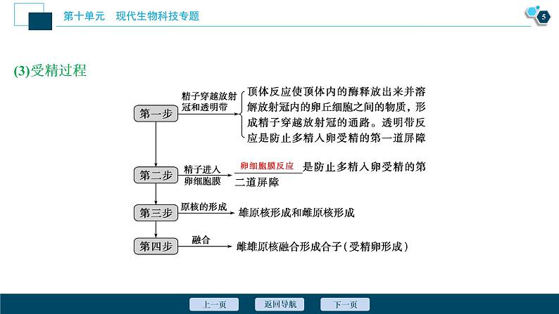 高中生物高考3 第十单元 第35讲 胚胎工程与生态工程课件PPT第6页