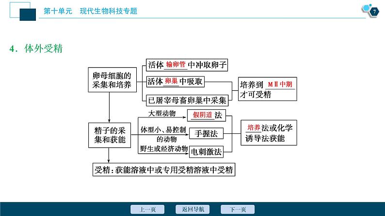 高中生物高考3 第十单元 第35讲 胚胎工程与生态工程课件PPT第8页