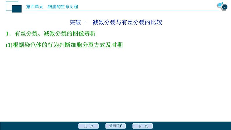 高中生物高考3 加强提升课(3) 减数分裂与有丝分裂、可遗传变异、DNA复制的关系课件PPT03
