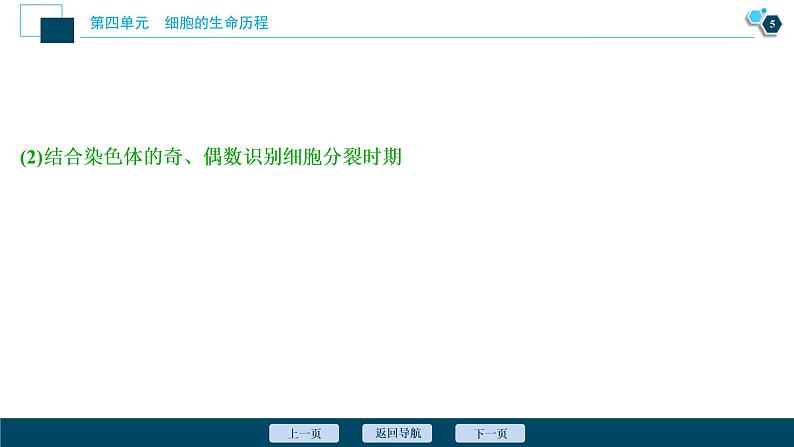 高中生物高考3 加强提升课(3) 减数分裂与有丝分裂、可遗传变异、DNA复制的关系课件PPT06