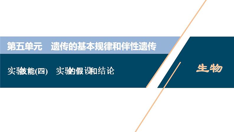 高中生物高考7 实验技能(四) 实验的假设和结论课件PPT01