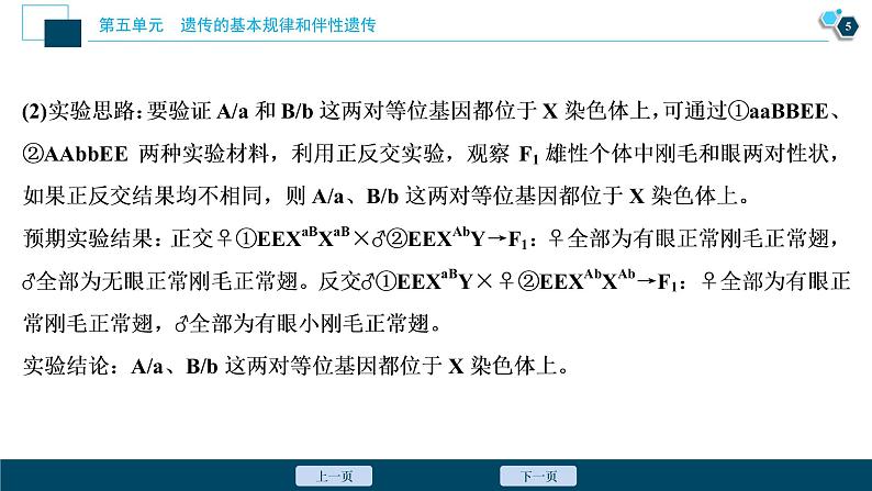 高中生物高考7 实验技能(四) 实验的假设和结论课件PPT06