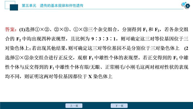 高中生物高考7 实验技能(四) 实验的假设和结论课件PPT07
