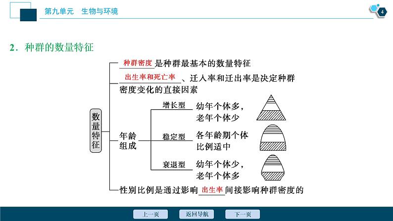 高中生物高考1 第九单元 第28讲 种群的特征 种群数量的变化课件PPT第5页