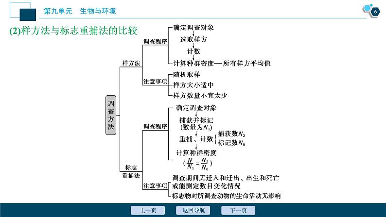高中生物高考1 第九单元 第28讲 种群的特征 种群数量的变化课件PPT第7页