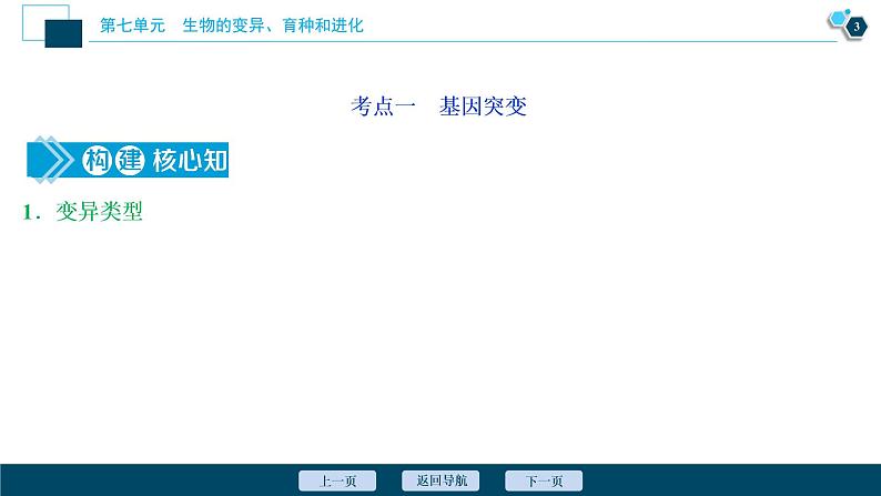 高中生物高考1 第七单元 第20讲 基因突变和基因重组课件PPT第4页