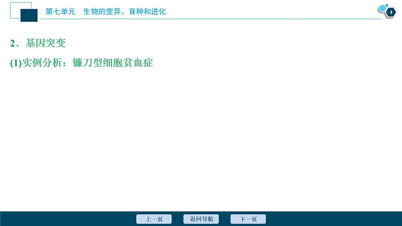 高中生物高考1 第七单元 第20讲 基因突变和基因重组课件PPT第5页