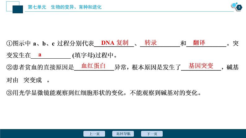 高中生物高考1 第七单元 第20讲 基因突变和基因重组课件PPT第6页