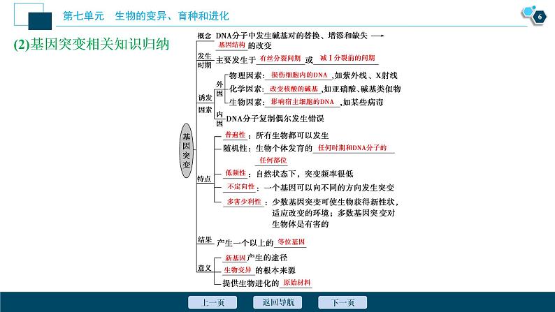 高中生物高考1 第七单元 第20讲 基因突变和基因重组课件PPT第7页