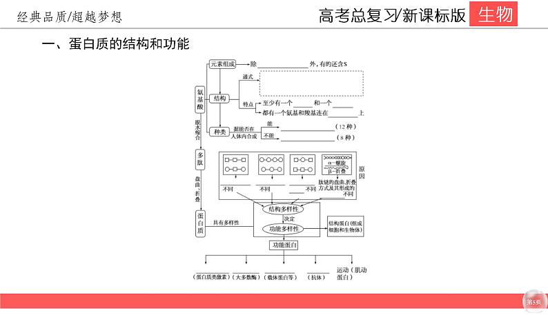 高中生物高考1-4课件PPT05