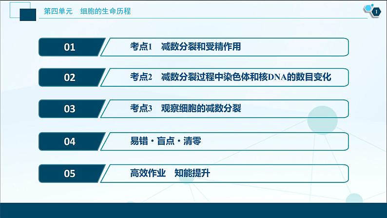高中生物高考2 第11讲 减数分裂及受精作用课件PPT第2页