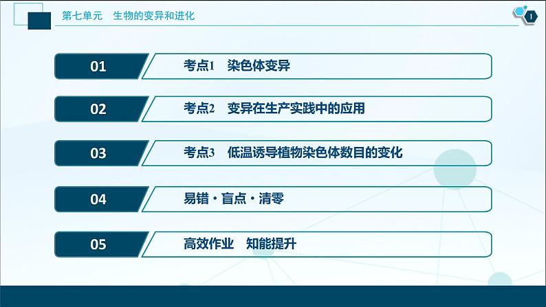 高中生物高考2 第21讲 染色体变异课件PPT第2页