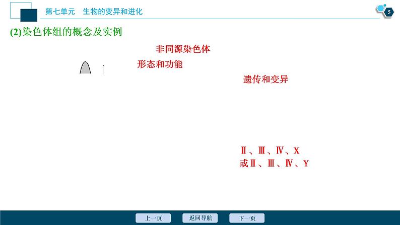 高中生物高考2 第21讲 染色体变异课件PPT第6页
